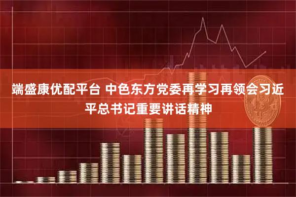 端盛康优配平台 中色东方党委再学习再领会习近平总书记重要讲话精神